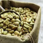 Yemeni Green Coffee (10 lb)